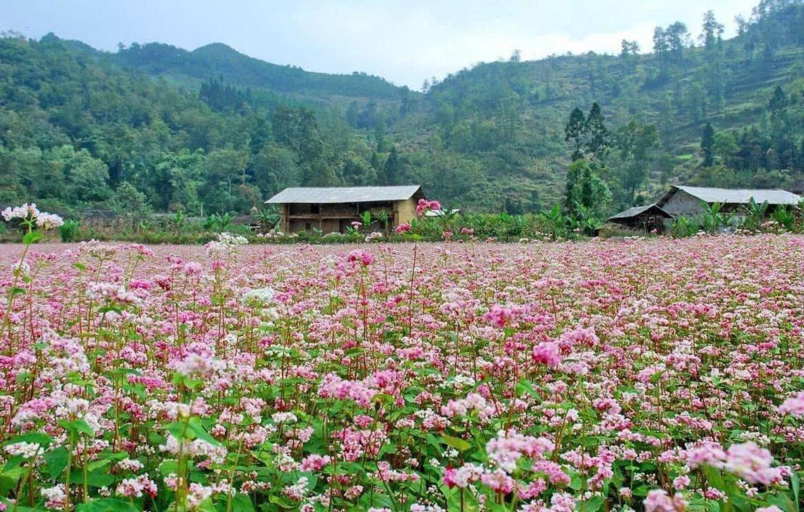 Thuy Anh Hotel Ha Giang Exterior foto
